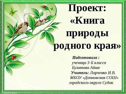Проектная работа презентация 4 класс